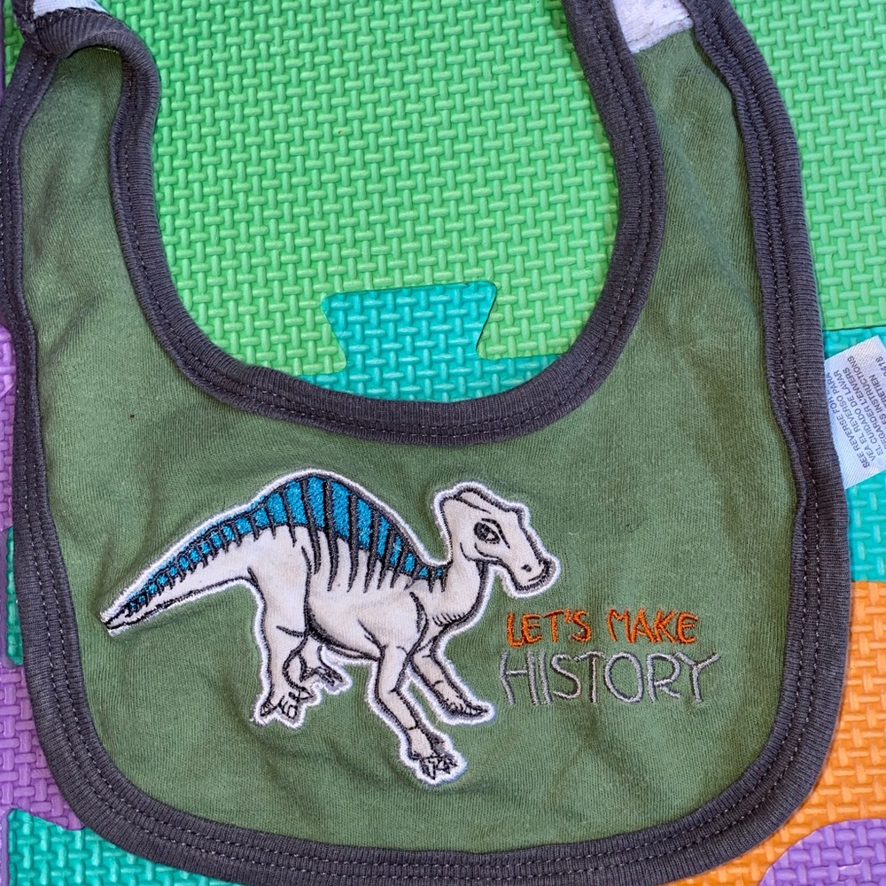 Dino Newborn bib
